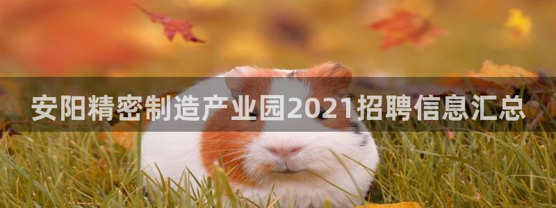 彩神8彩平台