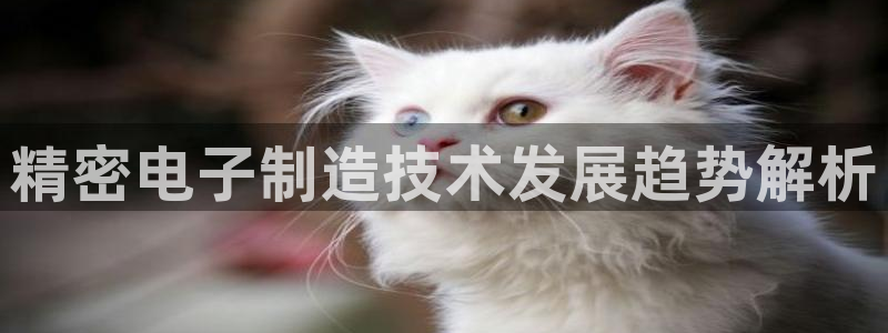 彩神v8客户端：精密电子制造技术发展趋势解析