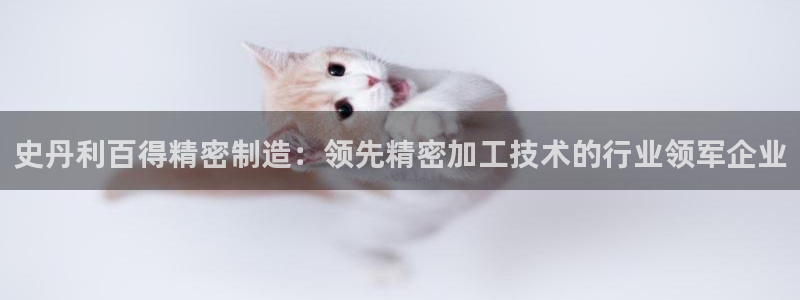 彩神v8下载：史丹利百得精密制造：领先精密加工技术的行业领军企业