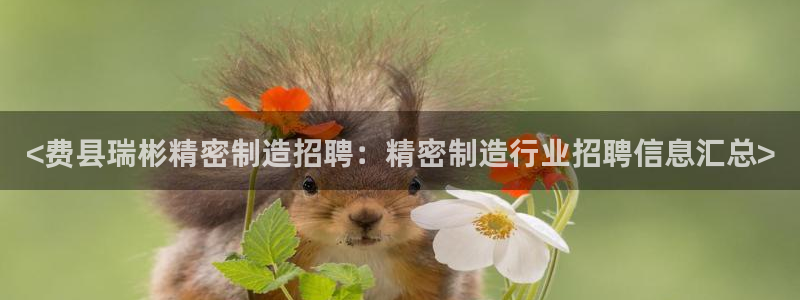 彩神平台能提现吗：<费县瑞彬精密制造招聘：精密制造行业招聘信息汇总>