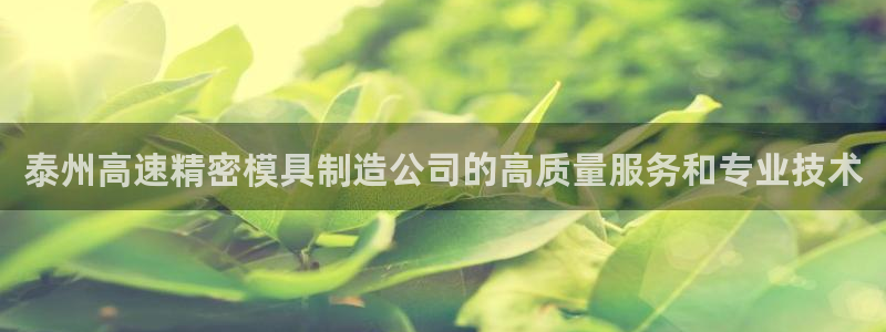 彩神8app官方下载：泰州高速精密模具制造公司的高质量服务和专业技术