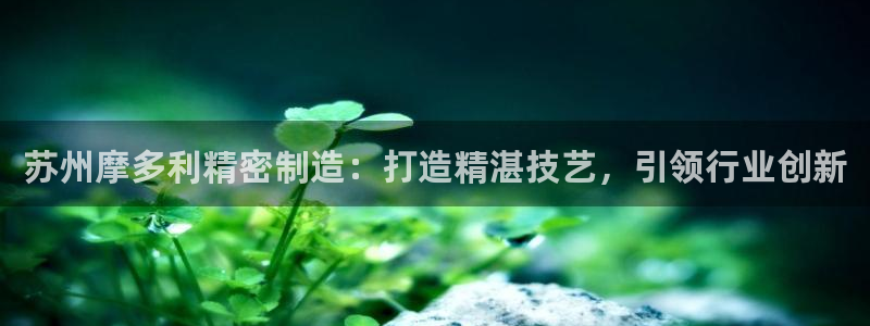彩神v8购彩大厅登：苏州摩多利精密制造：打造精湛技艺，引领行业创新