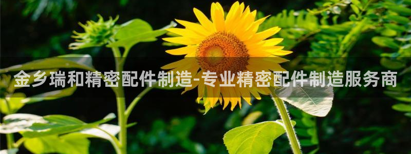 彩神趣购彩用户注册：金乡瑞和精密配件制造-专业精密配件制造服务商