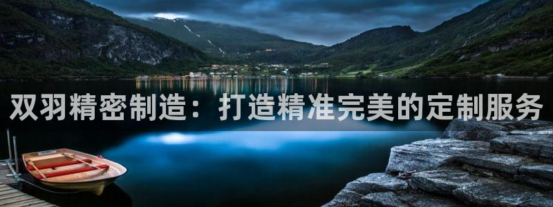 彩神网合法吗：双羽精密制造：打造精准完美的定制服务