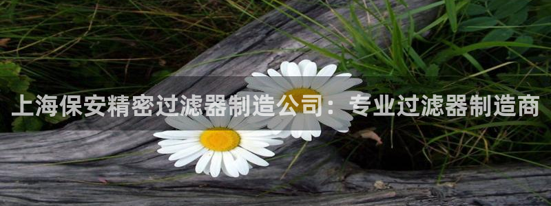 彩神争霸官网登录平台：上海保安精密过滤器制造公司：专业过滤器制造商