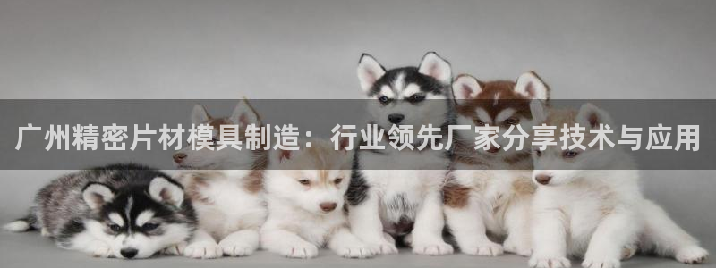 彩神ii官方网：广州精密片材模具制造：行业领先厂家分享技术与应用