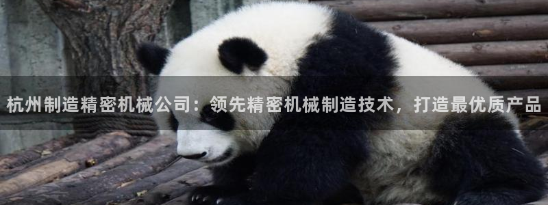 彩神是正规平台吗知乎：杭州制造精密机械公司：领先精密机械制造技术，打造最优质产品