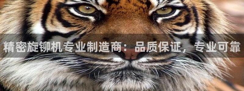 彩神v8是真的挣钱吗：精密旋铆机专业制造商：品质保证，专业可靠