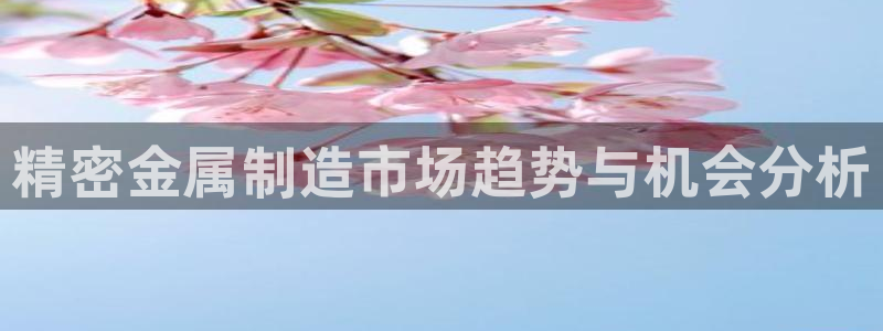 彩神v彩搜狗：精密金属制造市场趋势与机会分析