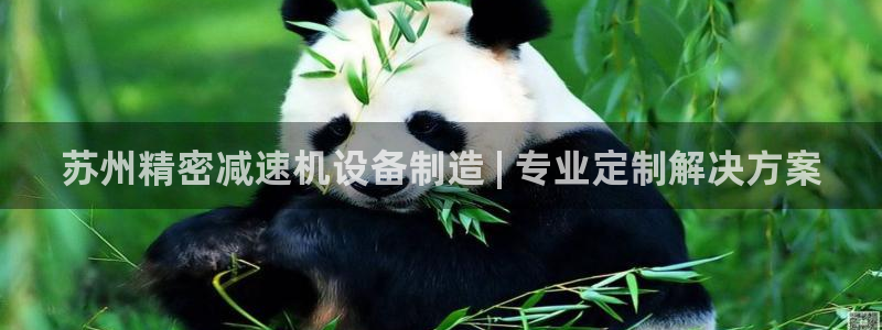 在彩神网输了六万多怎么拿回来：苏州精密减速机设备制造 | 专业定制解决方案