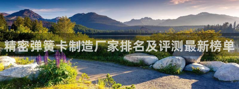 彩神v8手机客户端下载：精密弹簧卡制造厂家排名及评测最新榜单