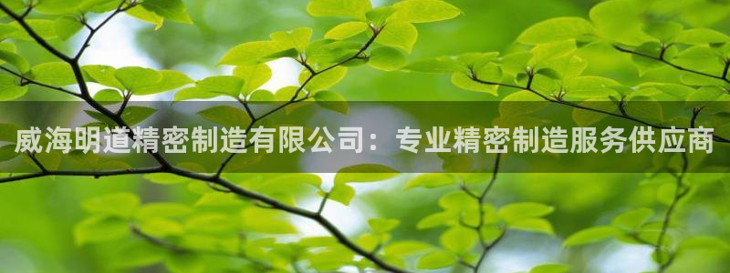 彩神Vll：威海明道精密制造有限公司：专业精密制造服务供应商