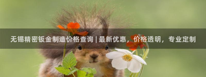 彩神大发黑平台：无锡精密钣金制造价格查询 | 最新优惠，价格透明，专业定制