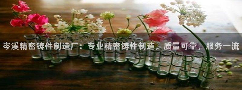 彩神v8是真的挣钱吗：岑溪精密铸件制造厂：专业精密铸件制造，质量可靠，服务一流