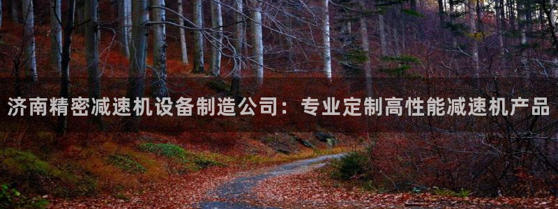 彩神网合法吗：济南精密减速机设备制造公司：专业定制高性能减速机产品