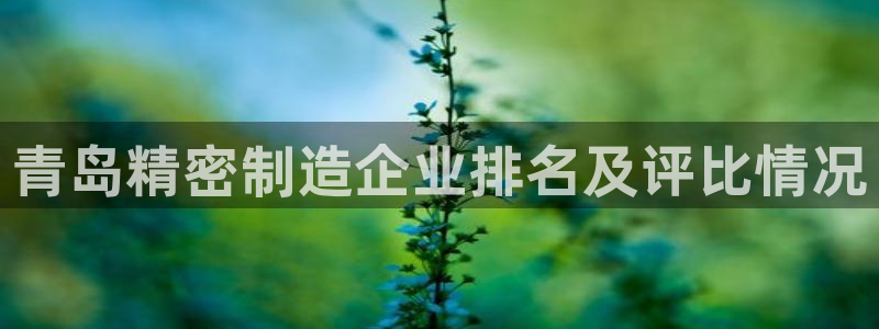 彩神vll官网-最新版app下载：青岛精密制造企业排名及评比情况