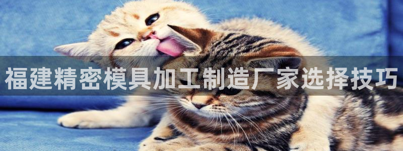 彩神vi争霸官网：福建精密模具加工制造厂家选择技巧