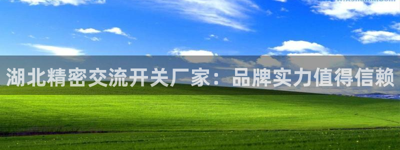 大发彩神最高邀请码：湖北精密交流开关厂家：品牌实力值得信赖