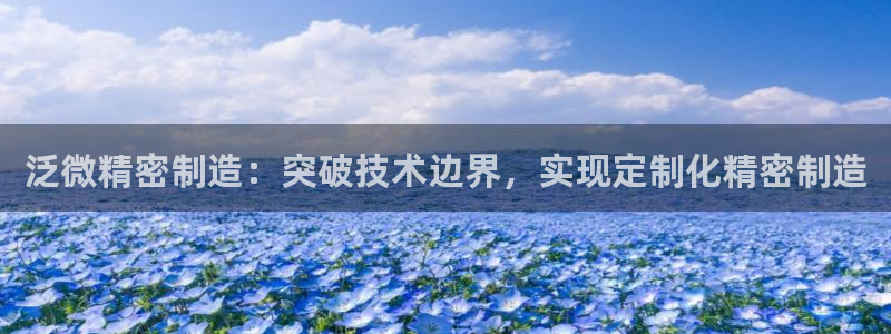 彩神ix是真的吗：泛微精密制造：突破技术边界，实现定制化精密制造