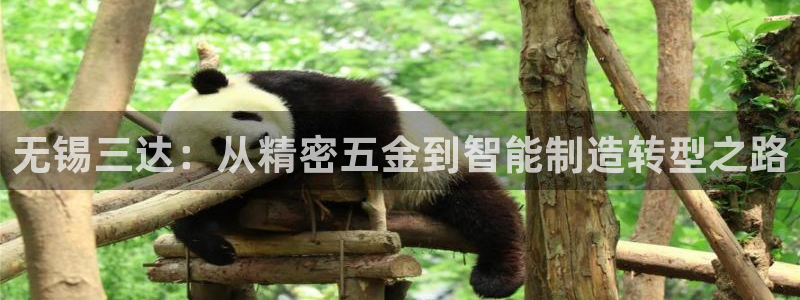 彩神通关注码金码对应码：无锡三达：从精密五金到智能制造转型之路