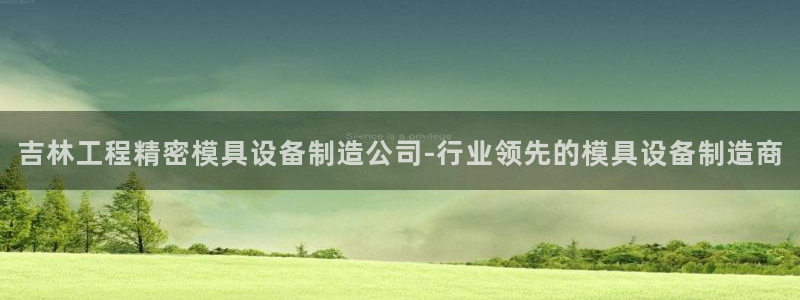 彩神V集团有限公司：吉林工程精密模具设备制造公司-行业领先的模具设备制造商