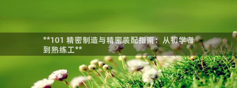彩神v集团有限公司：**101 精密制造与精密装配指南：从初学者
到熟练工**