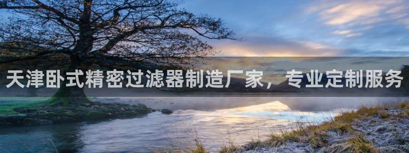 彩神VII官方版：天津卧式精密过滤器制造厂家，专业定制服务