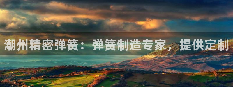 彩神的邀请码是多少：潮州精密弹簧：弹簧制造专家，提供定制
