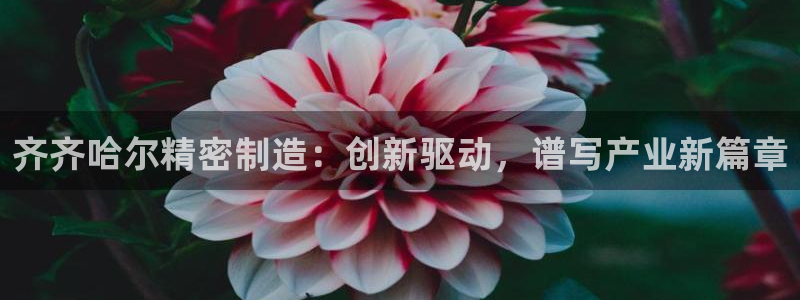 彩神v违法么：齐齐哈尔精密制造：创新驱动，谱写产业新篇章