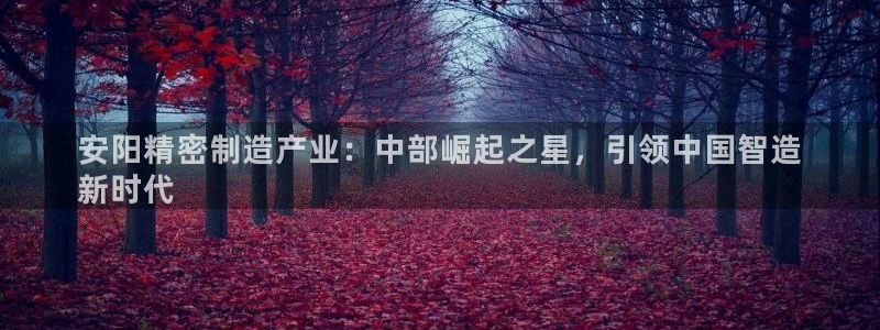 彩神通关注码金码对应码：安阳精密制造产业：中部崛起之星，引领中国智造
新时代