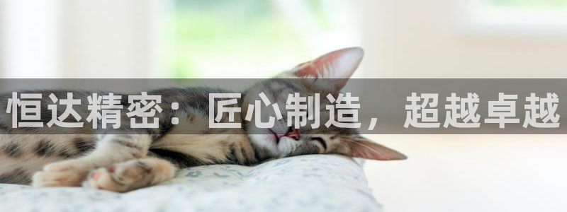 彩神购彩购彩大厅入口v：恒达精密：匠心制造，超越卓越