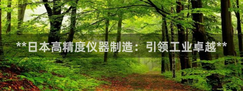 彩神数码科技有限公司：**日本高精度仪器制造：引领工业卓越**