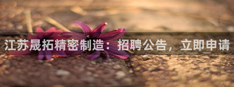 彩神ll能赚钱吗：江苏晟拓精密制造：招聘公告，立即申请