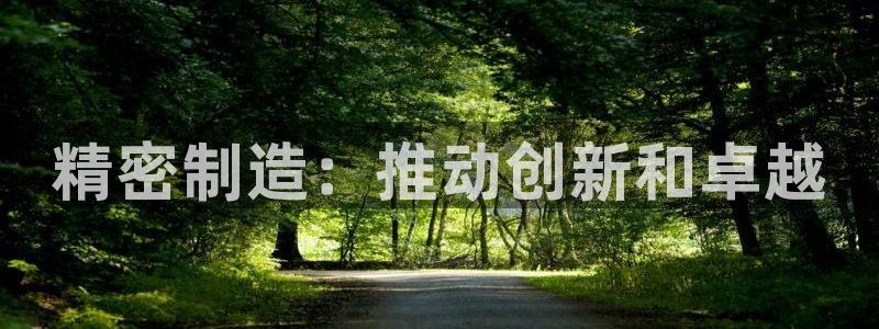 彩神v：精密制造：推动创新和卓越