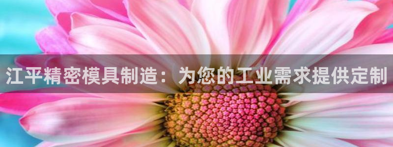 彩神v8客户端：江平精密模具制造：为您的工业需求提供定制
