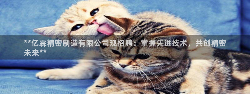 彩神v下载安装：**亿霖精密制造有限公司现招聘：掌握先进技术，共创精密
未来**