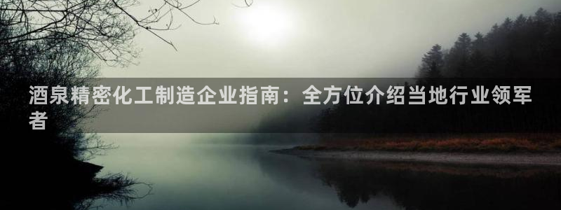 彩神是什么平台的游戏：酒泉精密化工制造企业指南：全方位介绍当地行业领军
者