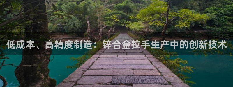 彩神vll趣投彩：低成本、高精度制造：锌合金拉手生产中的创新技术