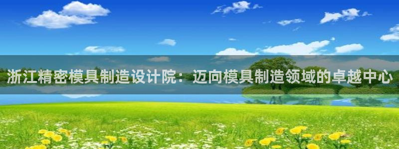 大发彩神最高邀请码：浙江精密模具制造设计院：迈向模具制造领域的卓越中心