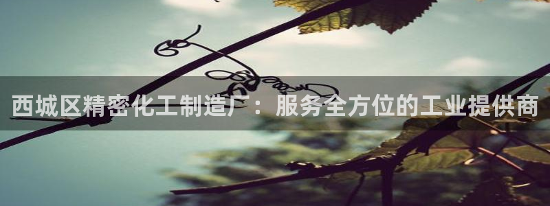 彩神团队是真的吗：西城区精密化工制造厂：服务全方位的工业提供商