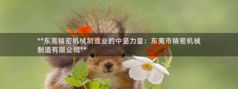 彩神网正规吗：**东莞精密机械制造业的中坚力量：东莞市精密机械
制造有限公司**