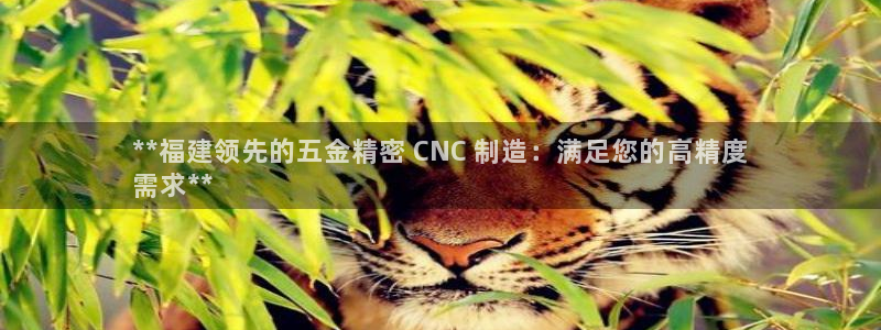彩神vll首页：**福建领先的五金精密 CNC 制造：满足您的高精度
需求**