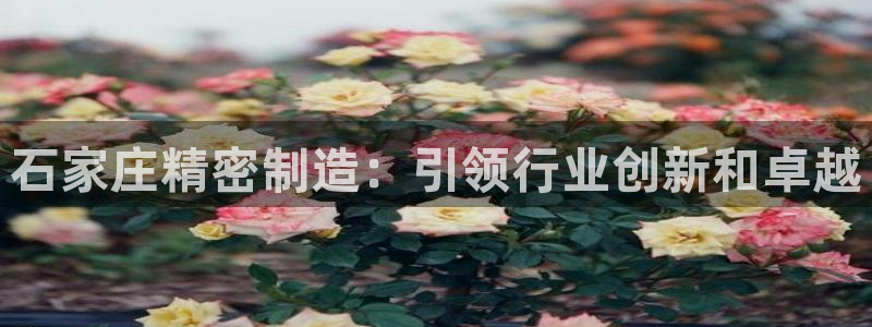 彩神xapp官方网站：石家庄精密制造：引领行业创新和卓越