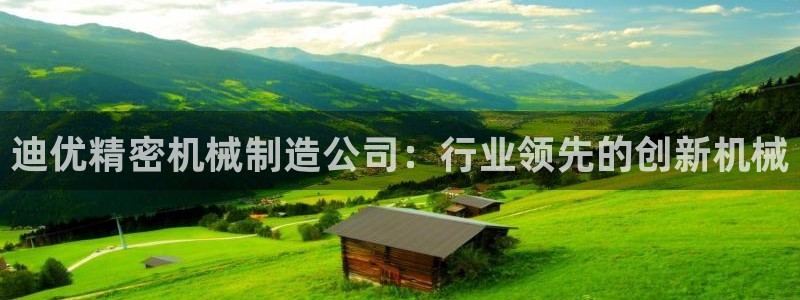彩神v8官网版：迪优精密机械制造公司：行业领先的创新机械