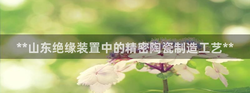 彩神Vii购彩-购彩大厅：**山东绝缘装置中的精密陶瓷制造工艺**