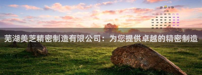 彩神ix官网是哪个公司的：芜湖美芝精密制造有限公司：为您提供卓越的精密制造