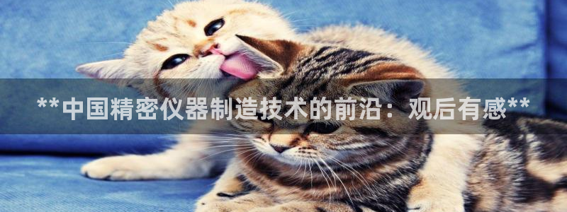 彩神ios下载：**中国精密仪器制造技术的前沿：观后有感**