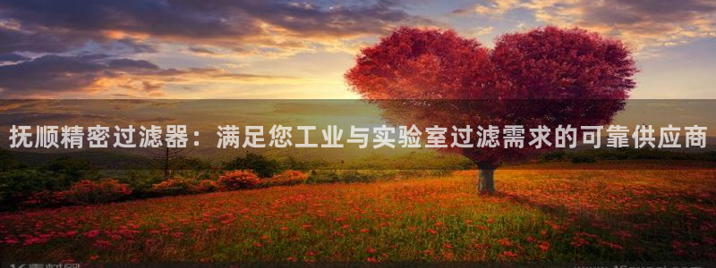 彩神官方网站登录是多少：抚顺精密过滤器：满足您工业与实验室过滤需求的可靠供应商