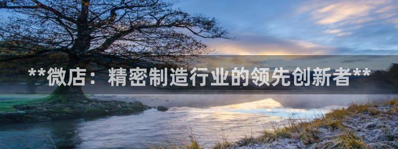 彩神购彩-购彩大厅入口36fr：**微店：精密制造行业的领先创新者**