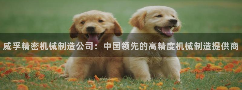 彩神8下载安卓版-彩神8(可提现)官网版1.0.0：威孚精密机械制造公司：中国领先的高精度机械制造提供商